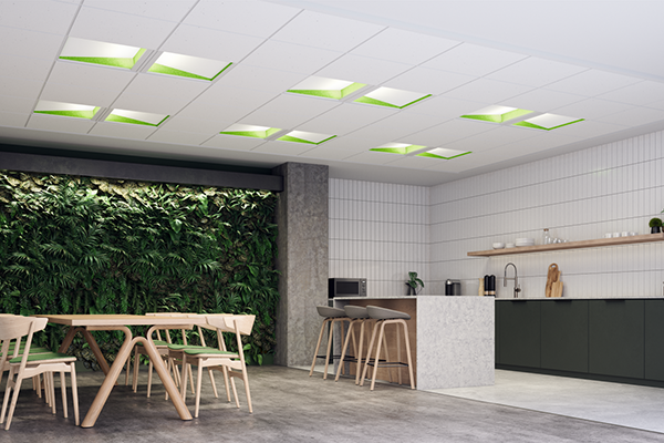 alight-sustainable-600x400