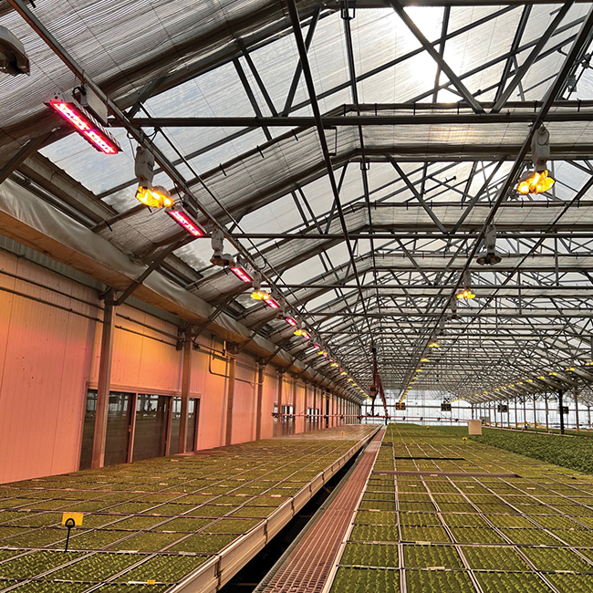 Horticulture lighting solutions from Acuity Brands