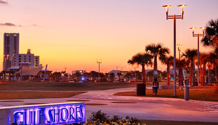 Turtle-GulfShore-700x400