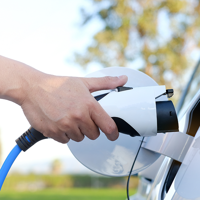 AdobeStock_316671337_700x700