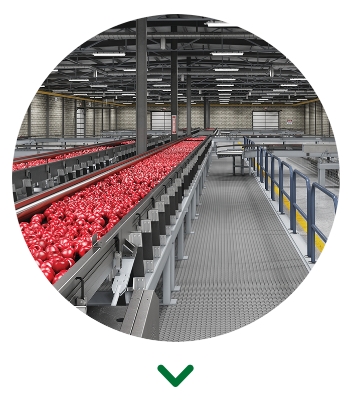 High Bays built for food - Circle