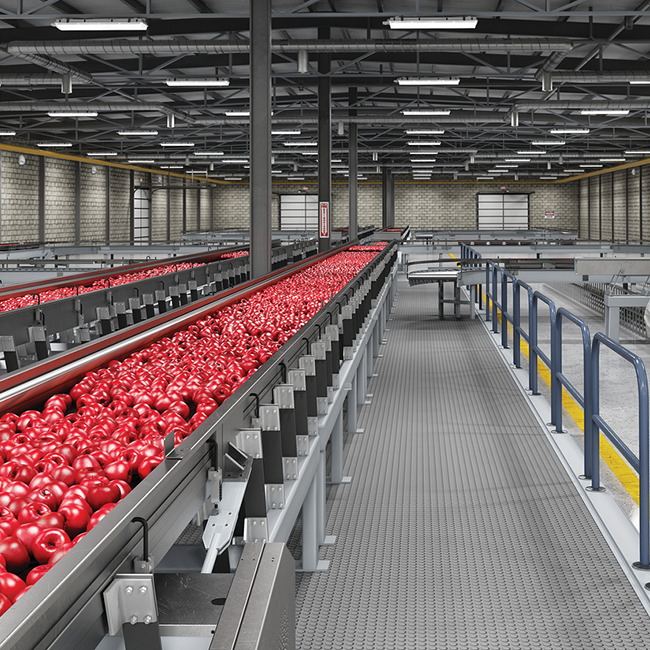 High Bays built for food