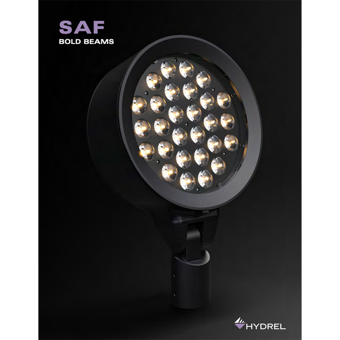 SAF Brochure Cover700x700