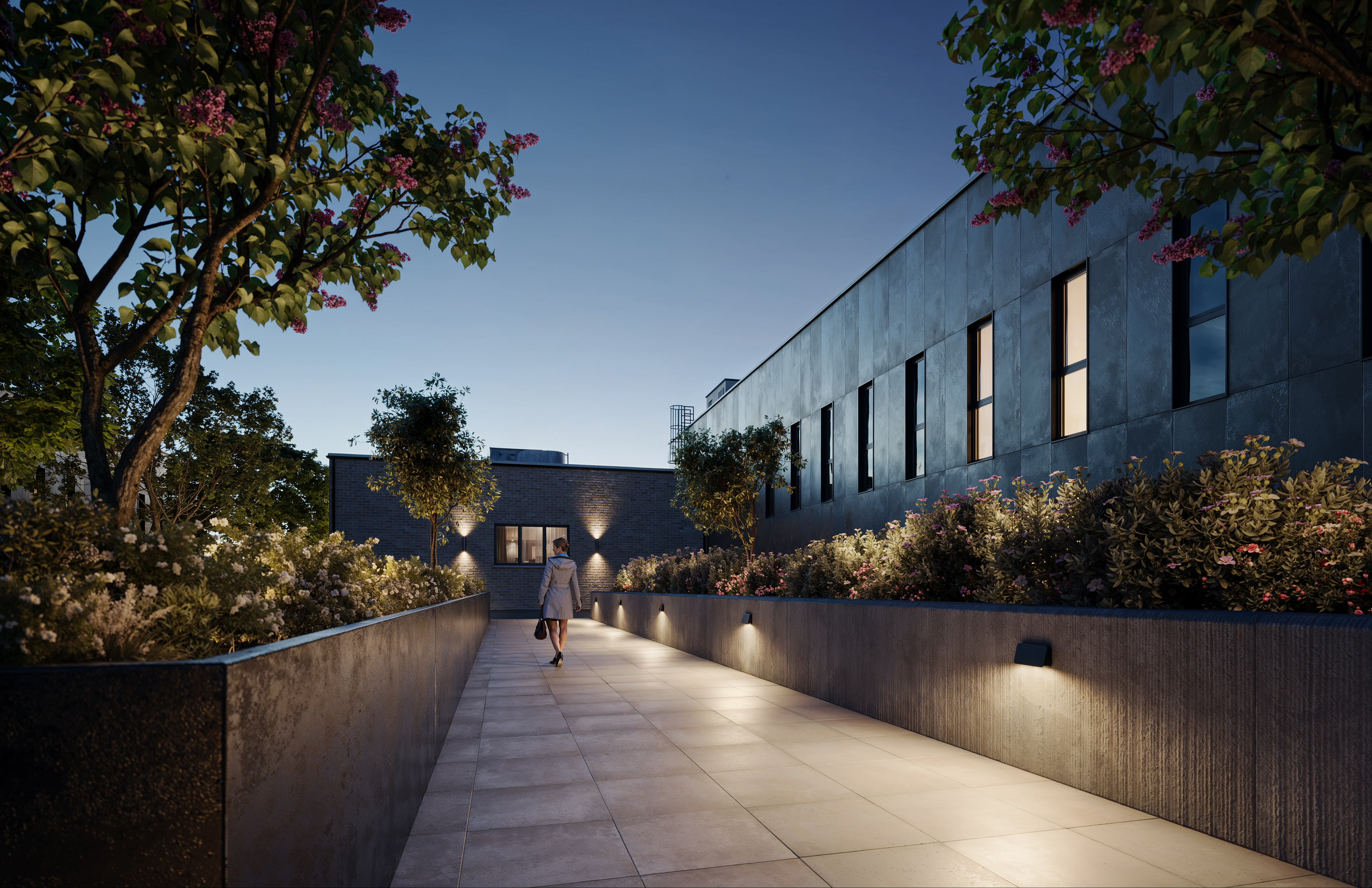 250228_WANDER_CONDO_PATHWAY (1)