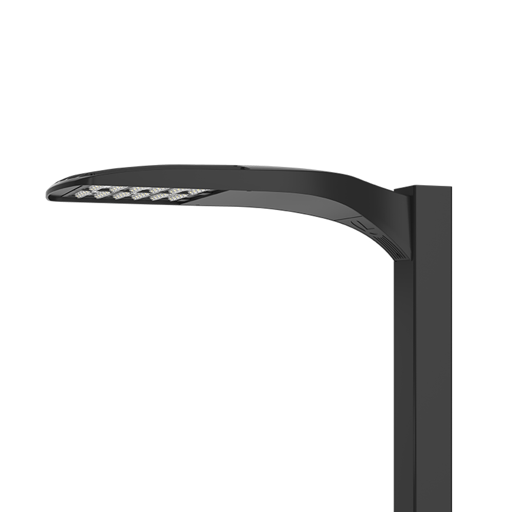 DSX1-image2