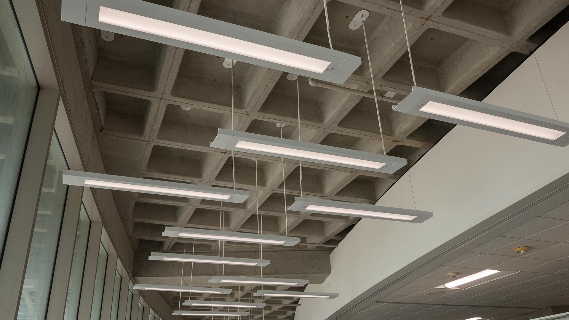 A ceiling of Peerless Bruno low profile light fixtures