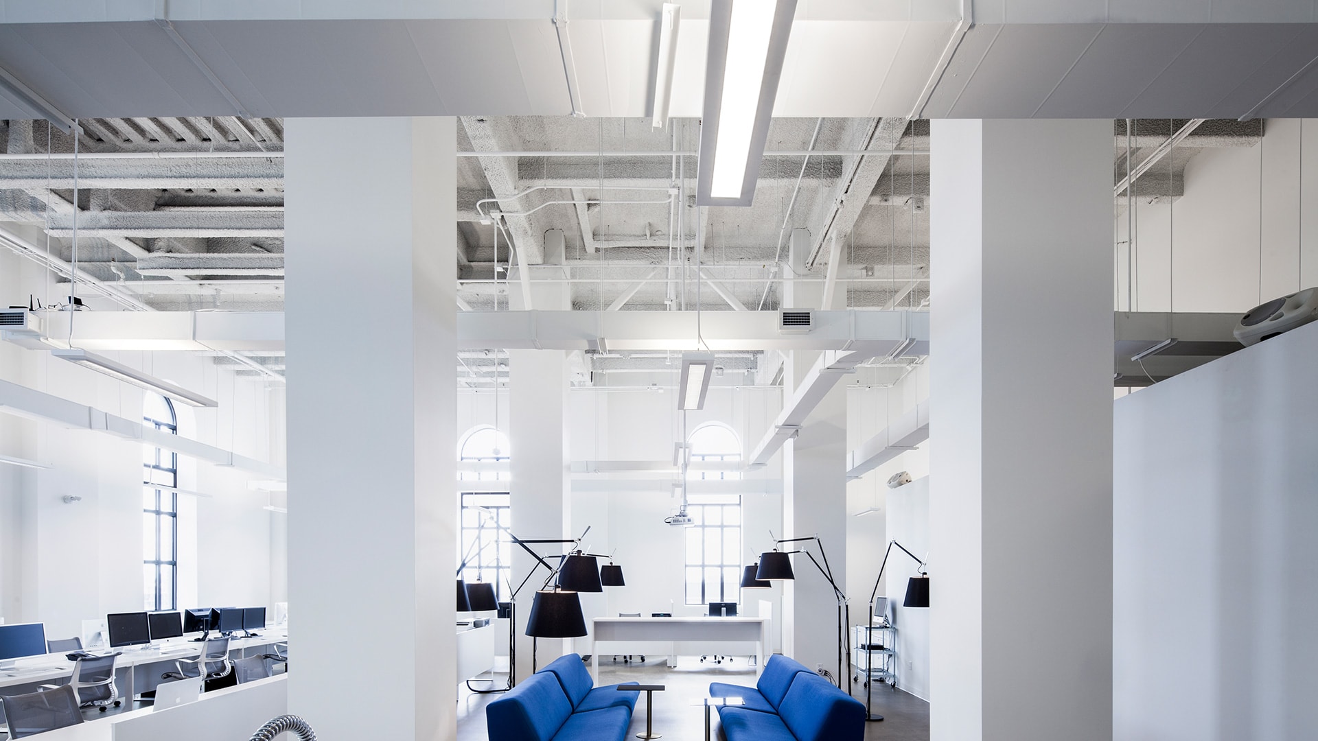 Peerless Bruno low profile lights work well in an open ceiling office