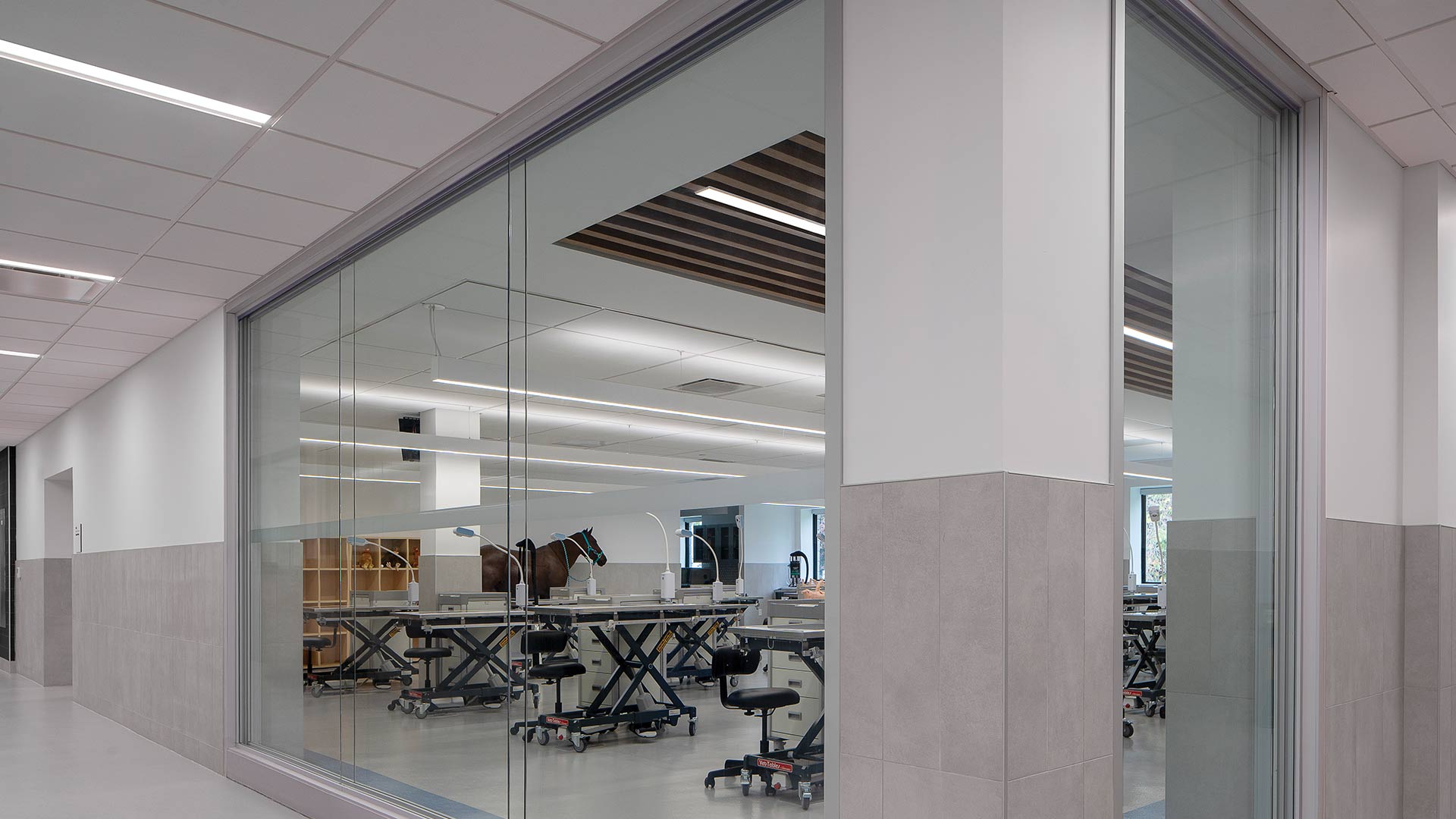 photo-gallery-higher-education-conestoga-college-10