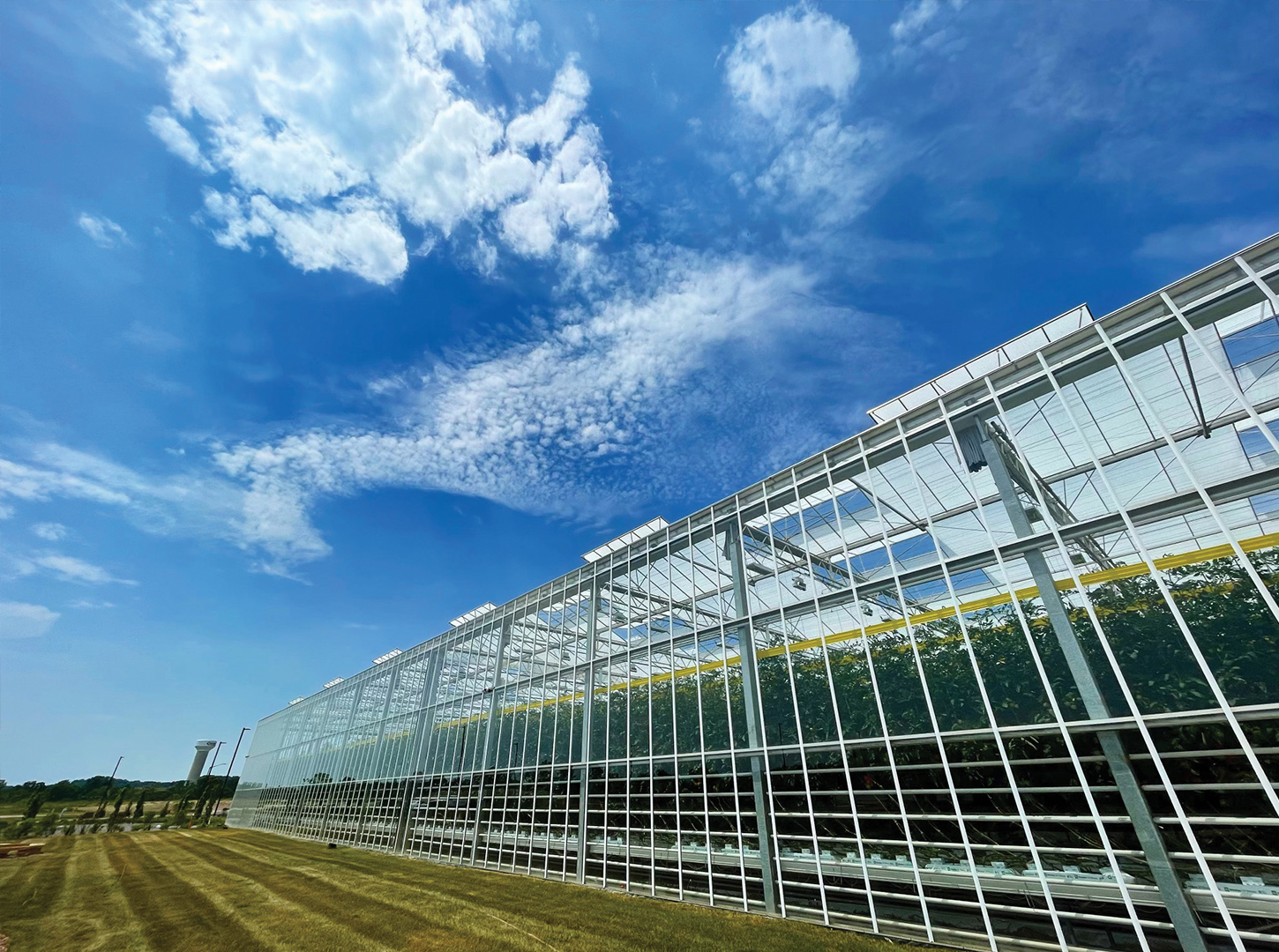 PNG-VAE2_Greenhouse_001