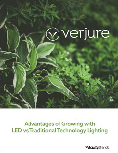 Advantages-Growing-LED-thumb