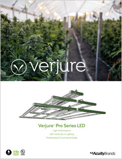 Verjure-Cannabis-Thumb