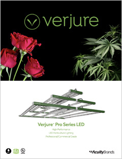 Verjure-General-Thumb