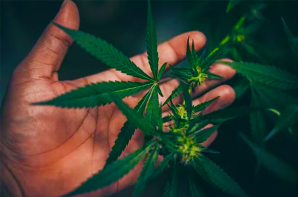 Utah-State-University-image